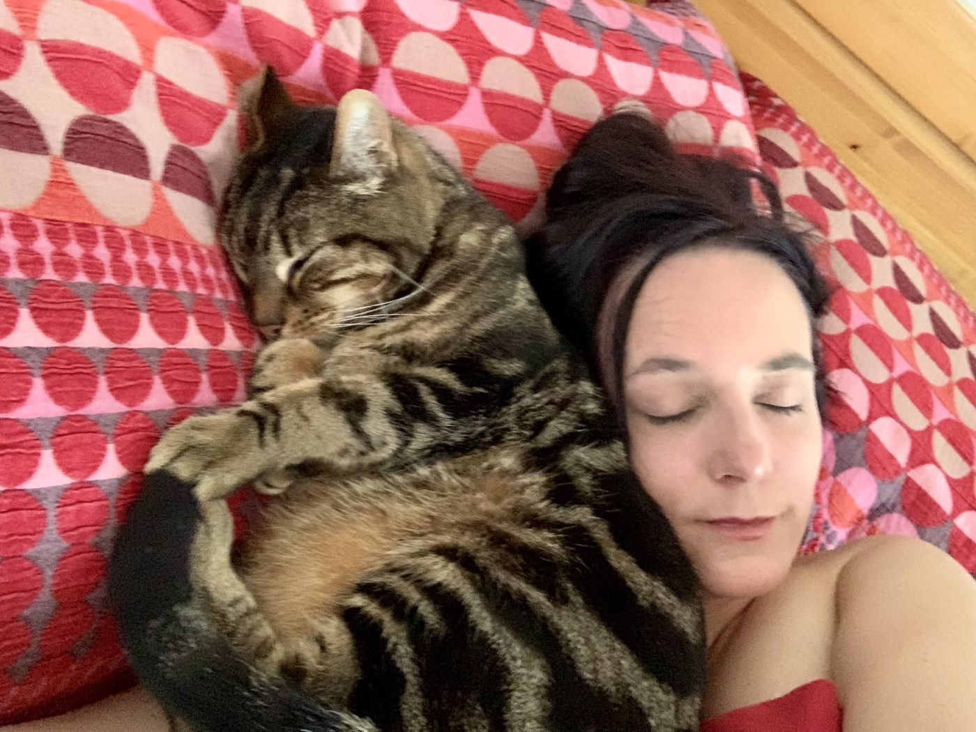 Hilary asleep on a patterned pillow, cuddled up with a tabby cat