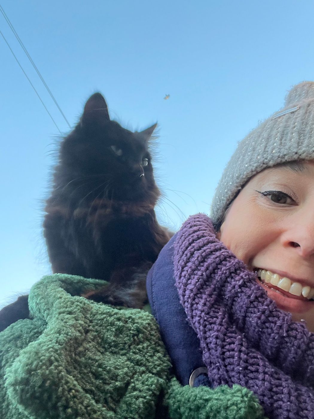 A long haired black cat on Hilary's shoulder under a blue sky
