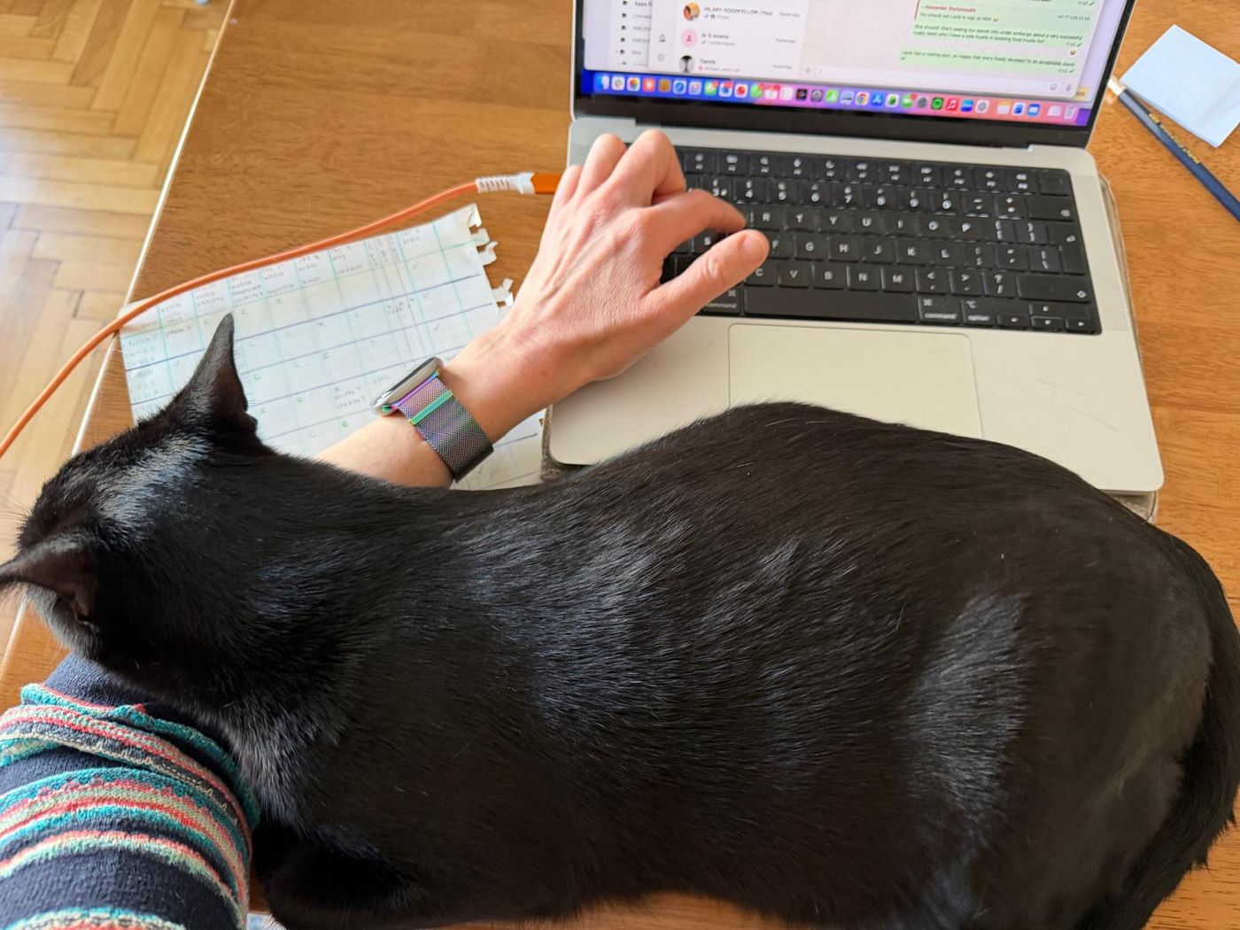 A black cat curled up beside Hilary as she works on her laptop